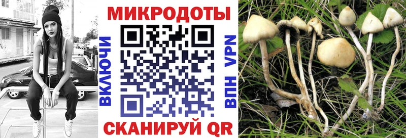 как найти закладки  Ворсма  Галлюциногенные грибы мицелий 