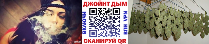 Марихуана сатива  Ворсма 